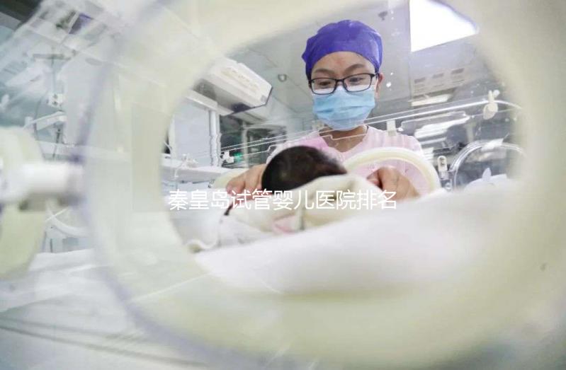 秦皇島試管嬰兒醫(yī)院排名,2024年助孕機構(gòu)費用清單參考