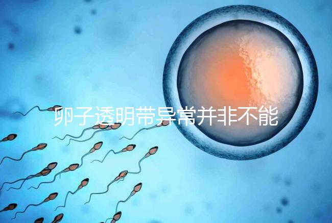 卵子透明帶異常并非不能治療好,你不知道的終極解決方法!