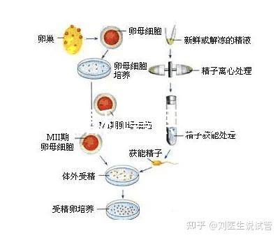 十月結(jié)晶和曼熙嬰兒浴盆誰好還不造，怎么換電池這篇文章說清楚