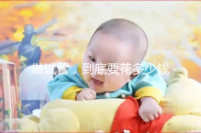 做試管，到底要花多少錢(qián)？?。?！
