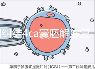 別糾結4ca囊胚解凍復蘇最早幾天能測出了，著床率先了解下