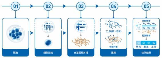 別再掉入“清宮圖”的坑中！備孕不應(yīng)錯過女性最佳生育年齡