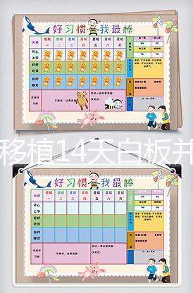 囊胚移植14天白板并非失敗？胚胎不在才真的沒希望