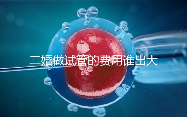 二婚做試管的費用誰出大揭秘!總共要花多少錢清清楚楚!
