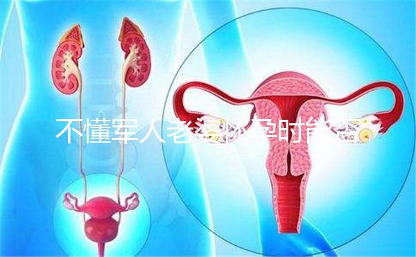 不懂軍人老婆懷孕時能否休陪護(hù)假快收藏，異地最高15天