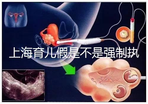 上海育兒假是不是強(qiáng)制執(zhí)行已明確，2024虹口區(qū)何時(shí)執(zhí)行戳