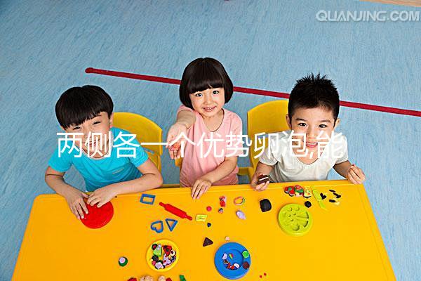 兩側各一個優(yōu)勢卵泡,能否雙胎好孕,純屬概率問題