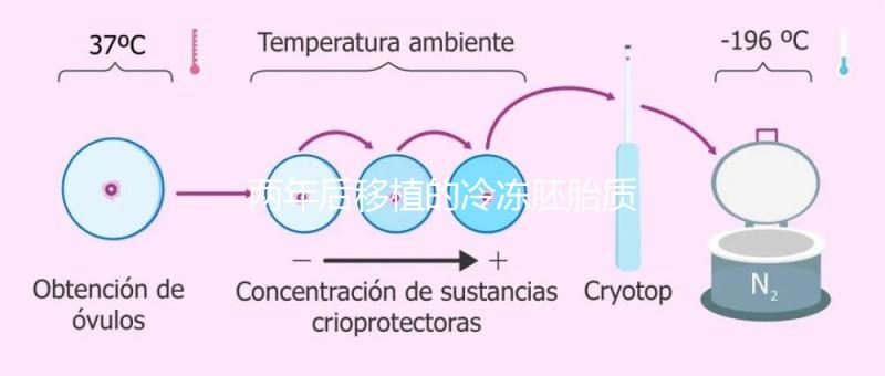 兩年后移植的冷凍胚胎質(zhì)量差會怎么樣？有效的解決方案