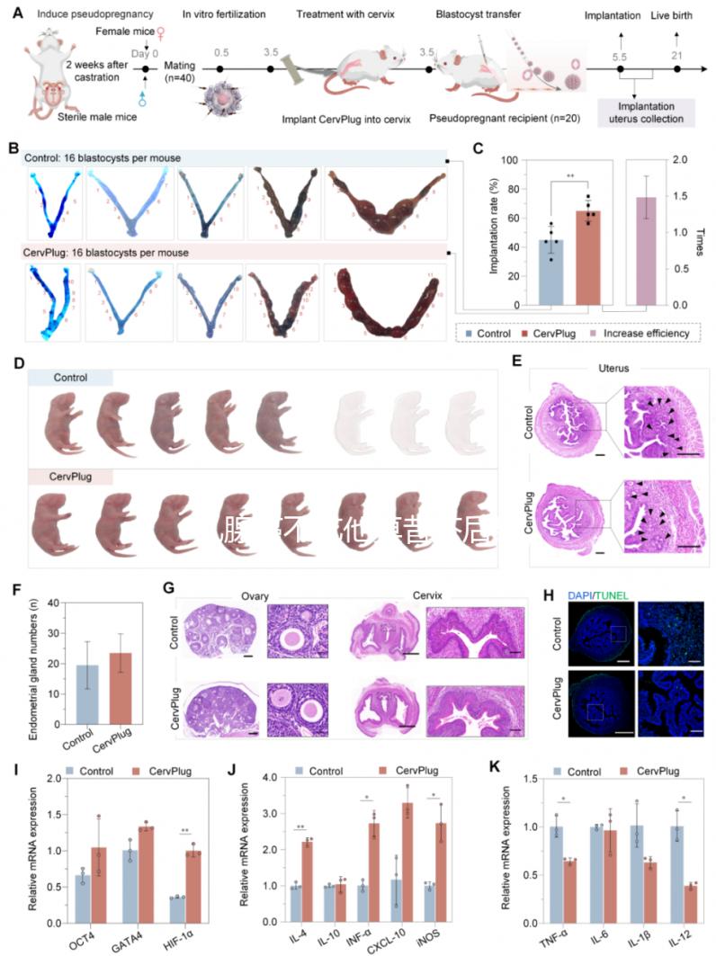 乳腺癌不吃他莫昔芬后果很嚴(yán)重，復(fù)發(fā)僅為其一