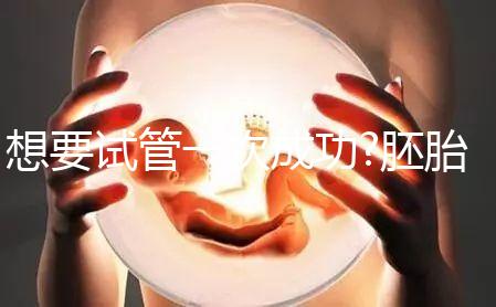 想要試管一次成功?胚胎移植后這5大注意事項請收藏