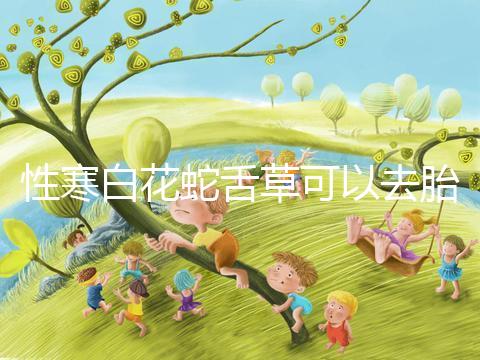 性寒白花蛇舌草可以去胎毒別亂吃!小心流產(chǎn)找上門(mén)