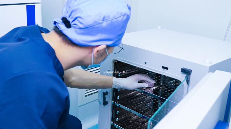 拉薩供卵機(jī)構(gòu)不少，做一次三代試管生男孩費(fèi)用沒你想的高