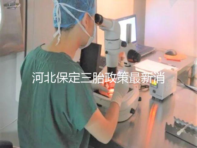 河北保定三胎政策最新消息2024,不造補(bǔ)貼怎么申請(qǐng)看過(guò)來(lái)