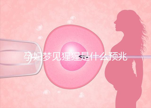 孕婦夢(mèng)見猩猩是什么預(yù)兆?帶你了解相關(guān)胎夢(mèng)解讀