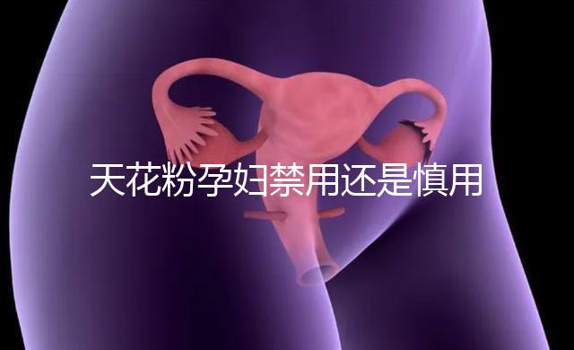 天花粉孕婦禁用還是慎用好看這，5個月不小心吃了有影響