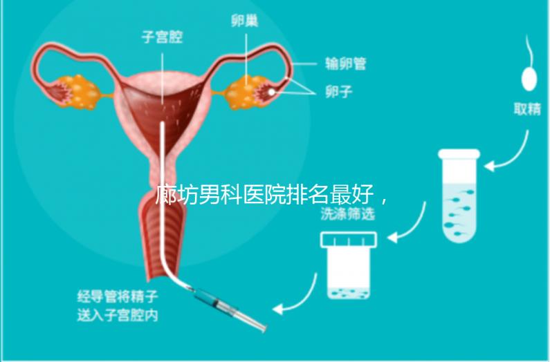 廊坊男科醫(yī)院排名最好,醫(yī)院出爐!廣陽這些機(jī)構(gòu)可以排隊