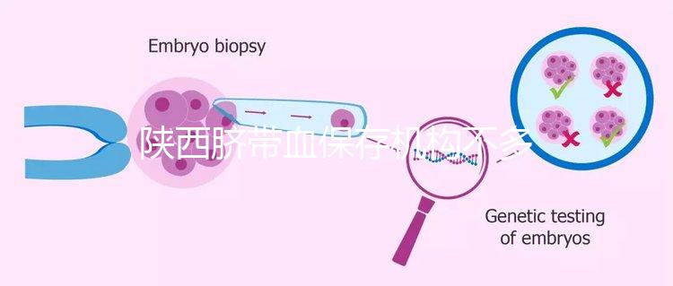 陜西臍帶血保存機構不多，咸陽想自存請準備好費用去合肥