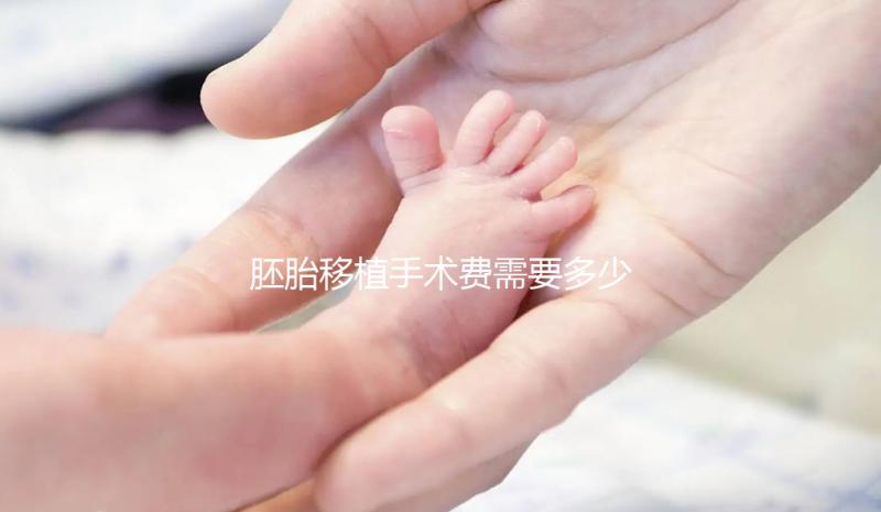 胚胎移植手術(shù)費(fèi)需要多少錢？