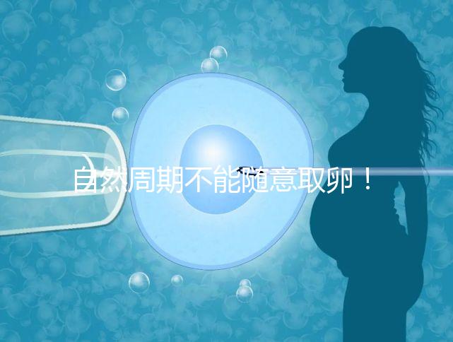 自然周期不能隨意取卵！滿足3點(diǎn)要求才能順利進(jìn)行