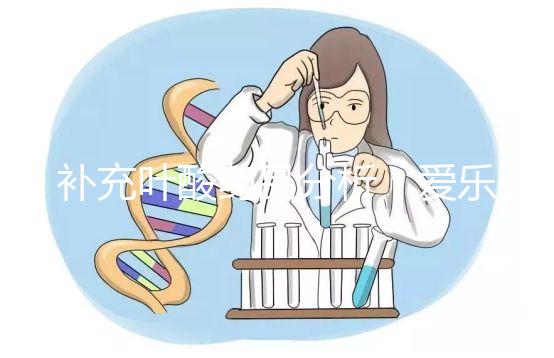 補(bǔ)充葉酸藥品分析：愛樂維和斯利安哪個(gè)孕期更需？