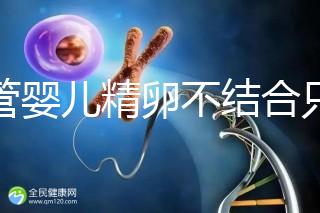 試管嬰兒精卵不結合只是基因問題？這幾大原因告知真相