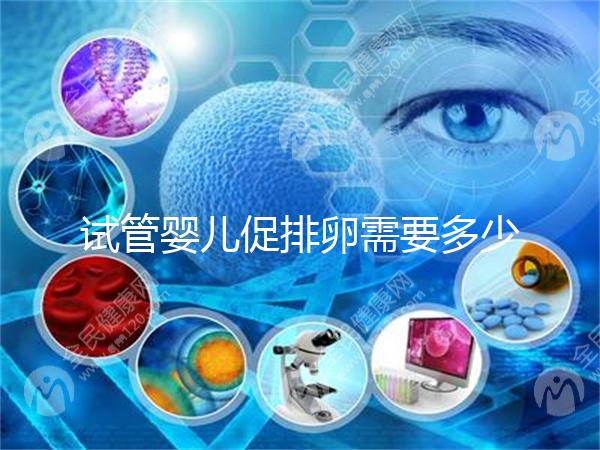 試管嬰兒促排卵需要多少錢(qián)-促排藥多少錢(qián)一個(gè)療程