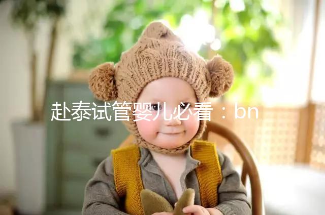 赴泰試管嬰兒必看:bnh和ibaby(愛(ài)寶貝)醫(yī)院對(duì)比介紹