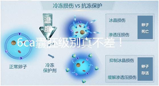 6ca囊胚級別真不差!嘗試移植才有機(jī)會,有信心才能“好孕”