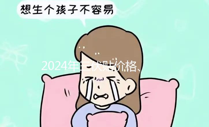 2024年三伏貼價格、品牌、單個療程費用大科普