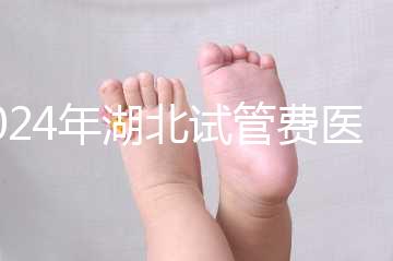 2024年湖北試管費(fèi)醫(yī)療保險(xiǎn)可以報(bào)銷？專家：時(shí)間還沒(méi)到？