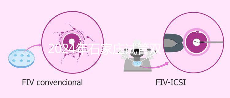 2024年石家莊試管雙胞胎醫(yī)院排名，不要錯過新華、長安