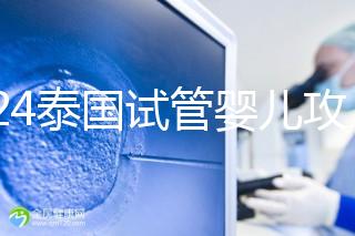 2024泰國(guó)試管嬰兒攻略索引:成功率,70